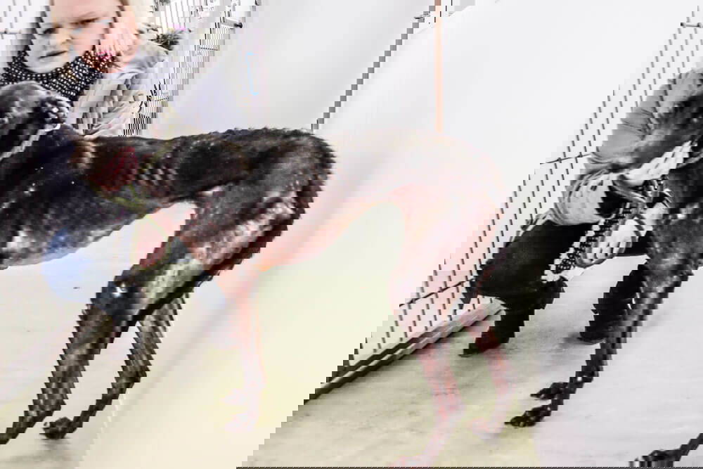 It made our stomachs tighten as well.