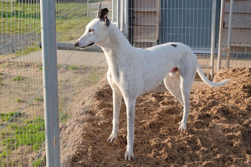 Update regarding COVID-19 (Coronavirus)