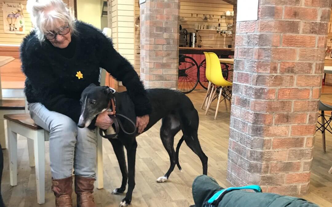 Sheffield 13 update: Winnie goes into foster