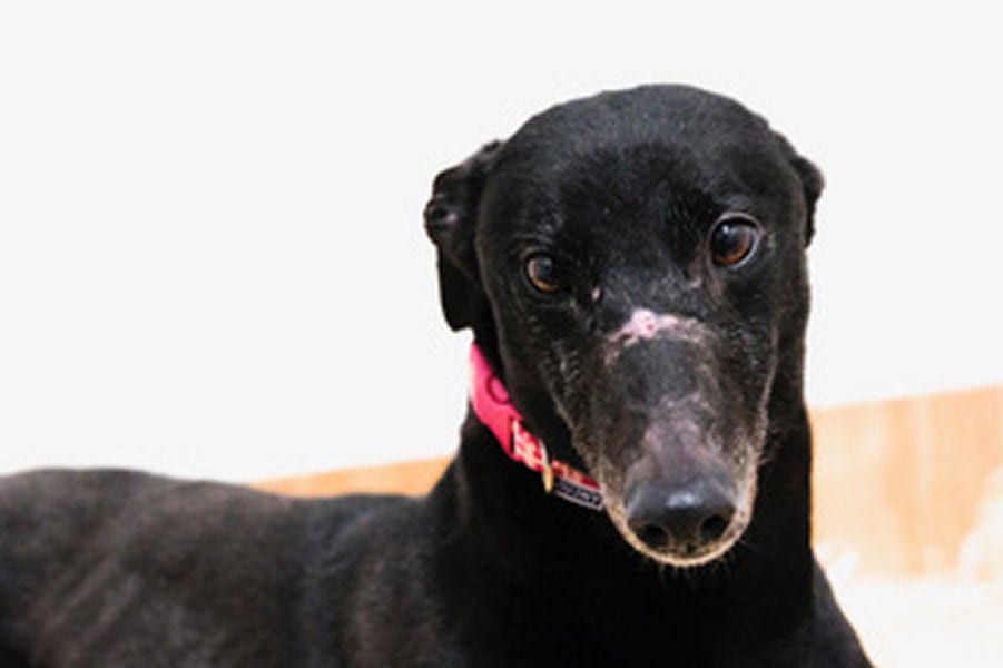 Right, we are not happy.