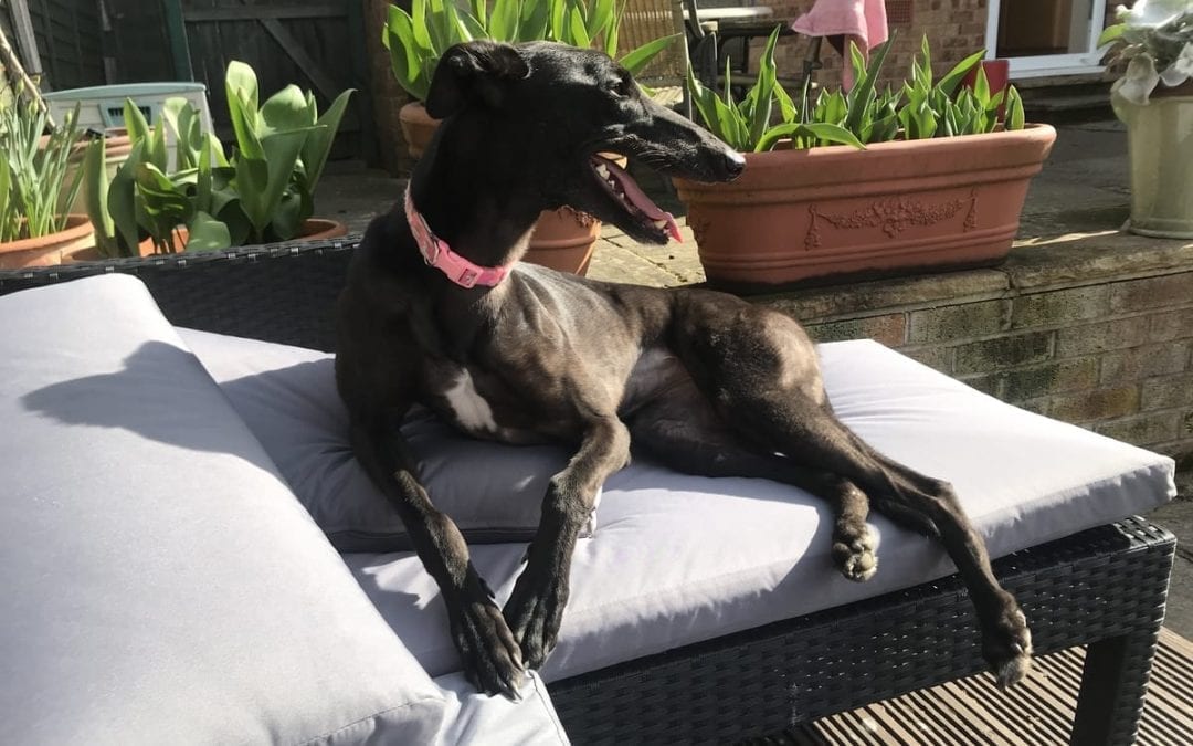 Indra settling in to her new home