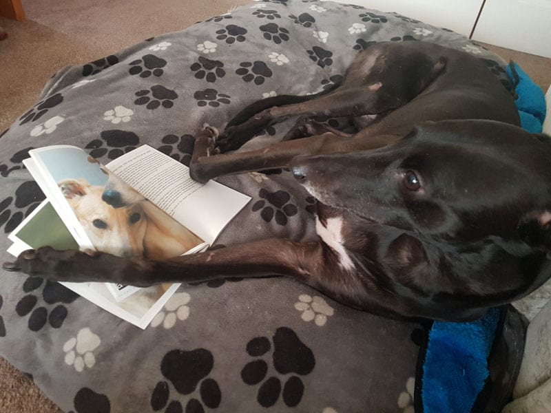Writer’s block
