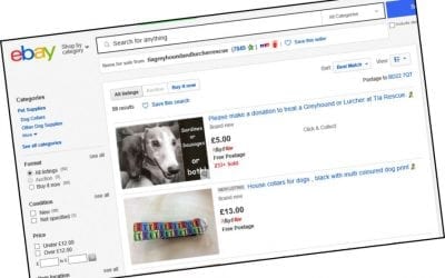 Tia Rescue eBay shop… for your greyhound essentials!