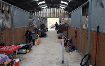 Equine dentist does a clinic here at Tia…