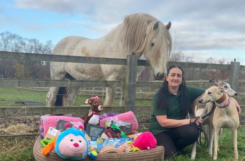 Doggy Christmas Raffle!