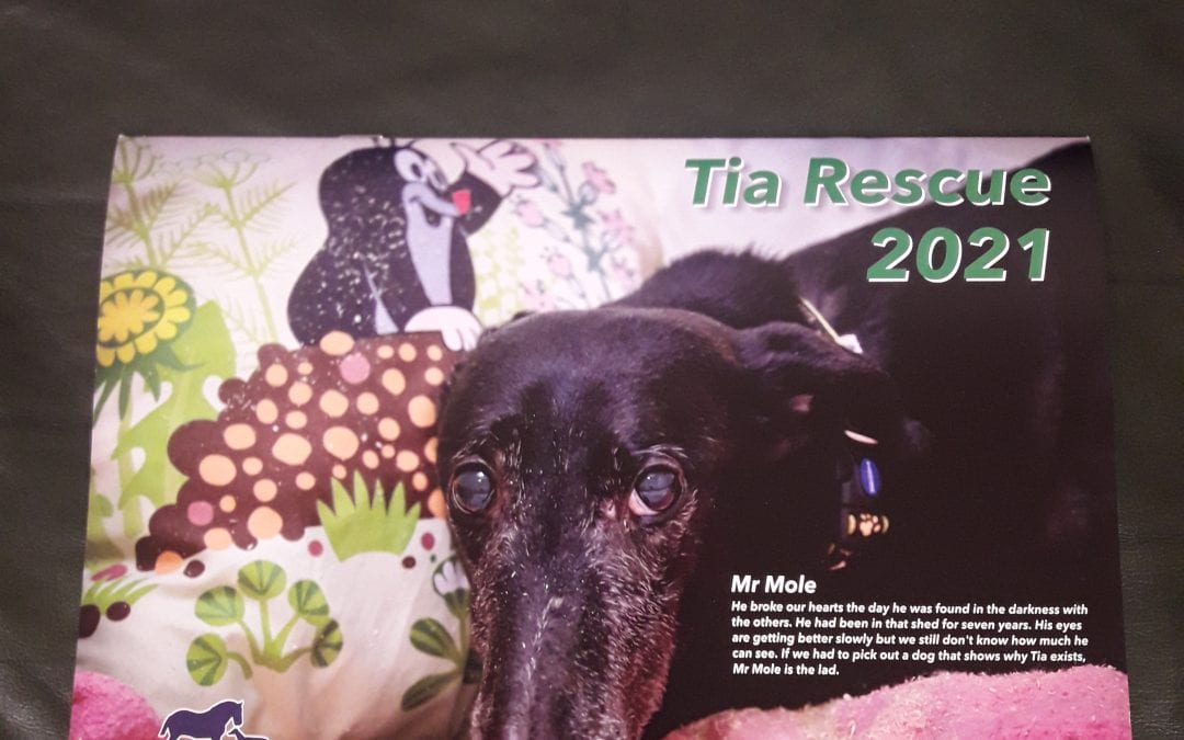 Tia Calendar