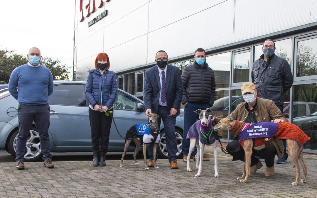 Stuck for Christmas ideas?… Sponsor at Tia Rescue
