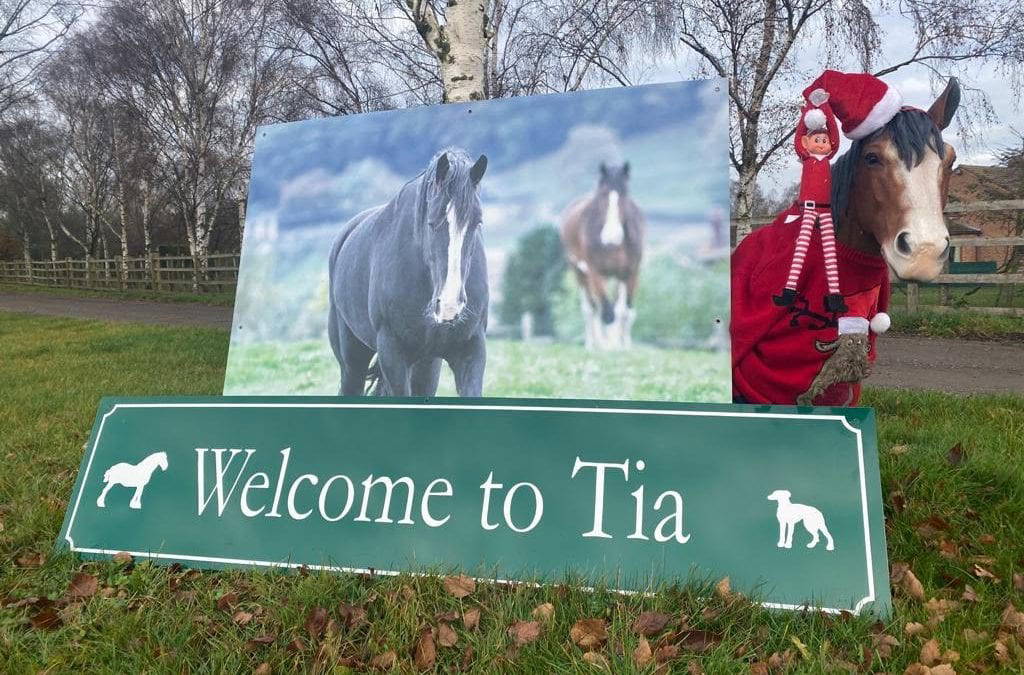 Elf on the shelf! Day 1…