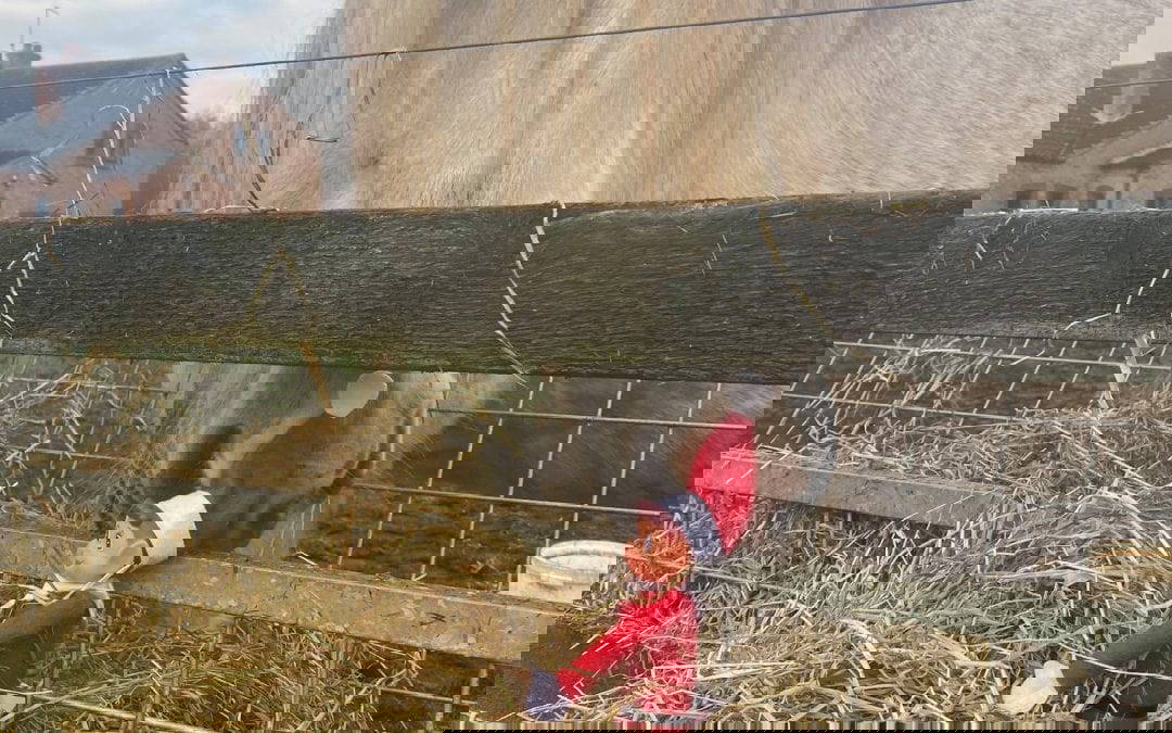 Elf on the shelf! Day 2…