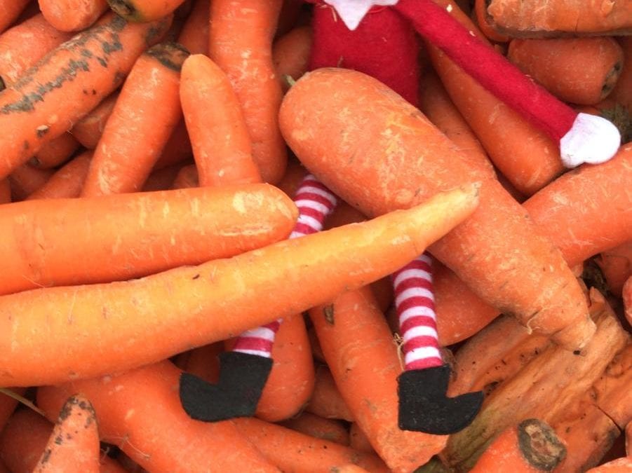 Elf on the shelf! Day 21…