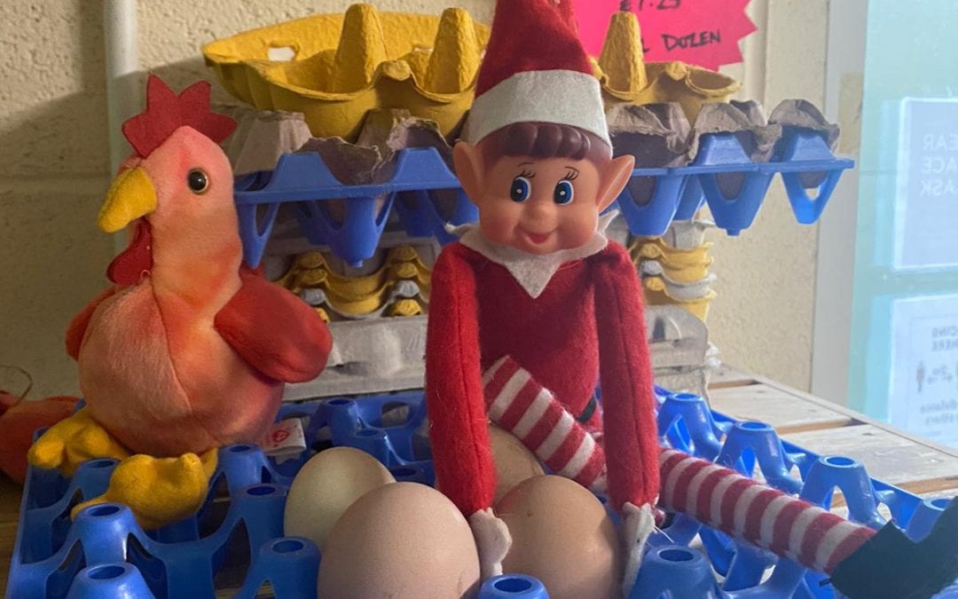 Elf on the shelf! Day 9…
