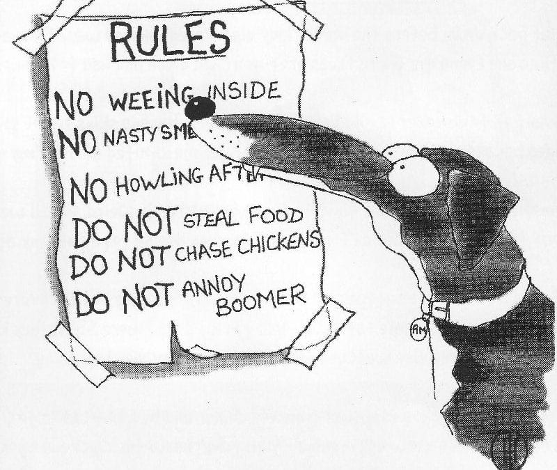 Pim, Memoirs of a canine raconteur: Day two