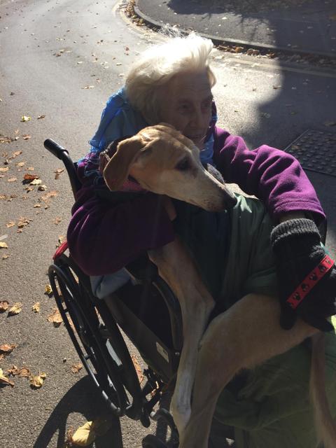 The power of dogs… and Tia
