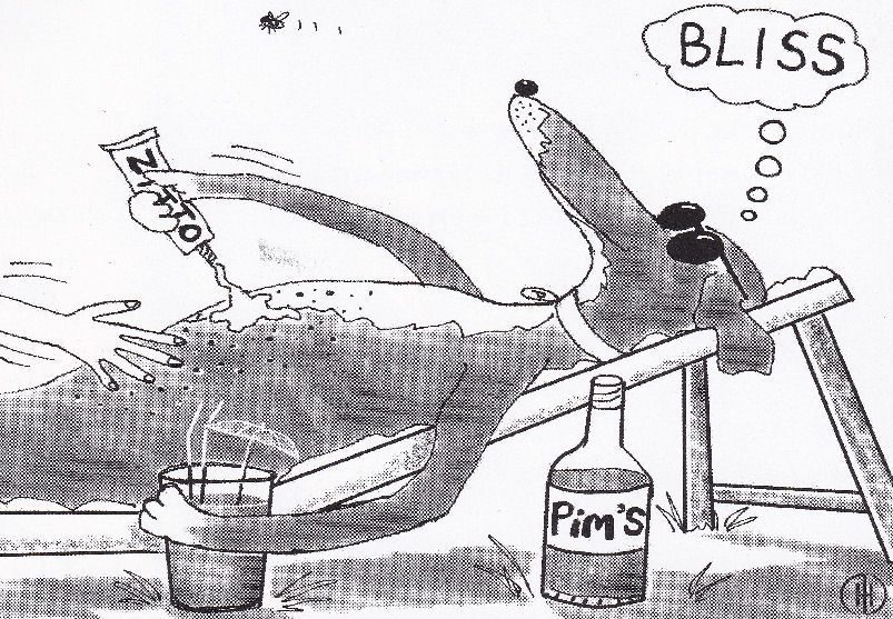 Pim, Memoirs of a canine raconteur: Day six
