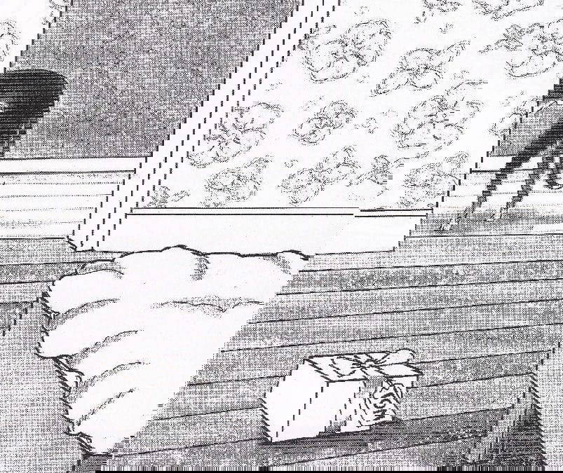 Pim, Memoirs of a canine raconteur: Day 10