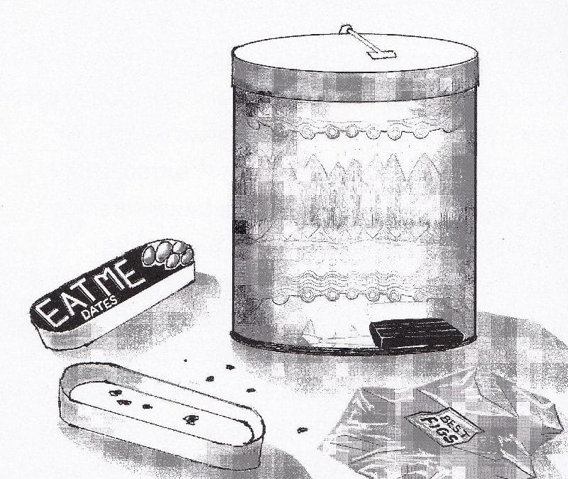 Pim, Memoirs of a canine raconteur: Day 11