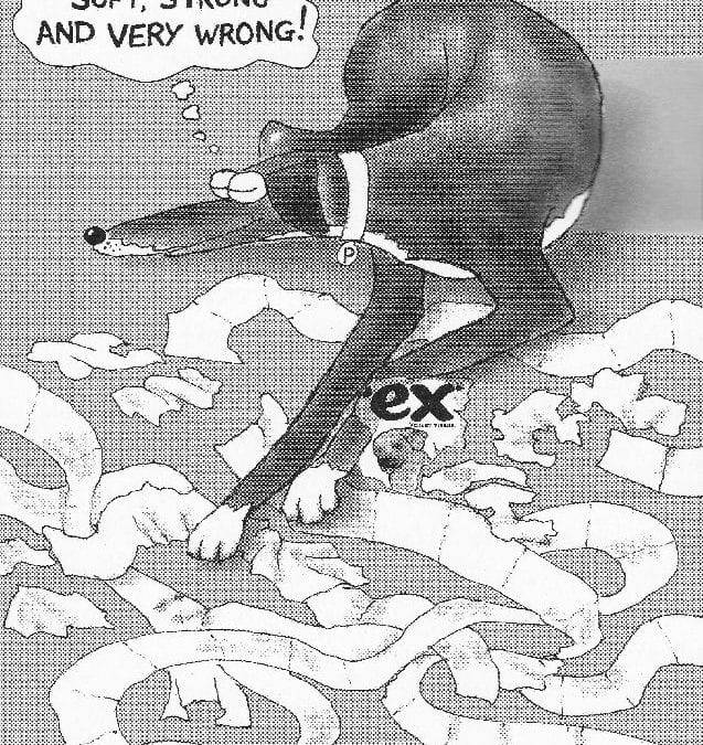 Pim, Memoirs of a canine raconteur: Day 12