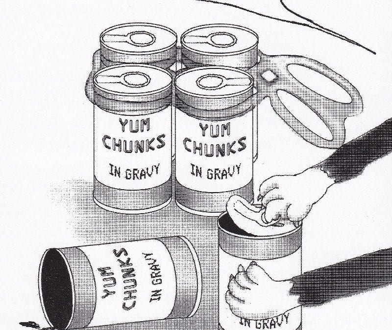 Pim, Memoirs of a canine raconteur: Week 6-ish