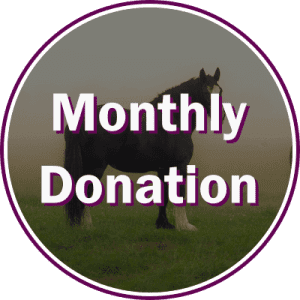 Monthly Donation