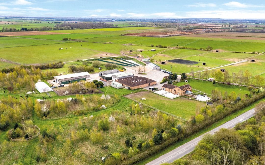 Mill Race back on the market