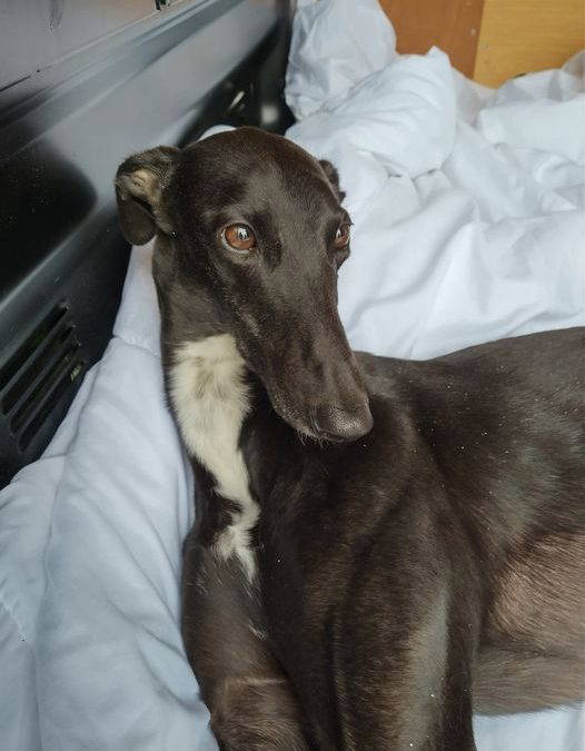 Edie – she’s only 4…