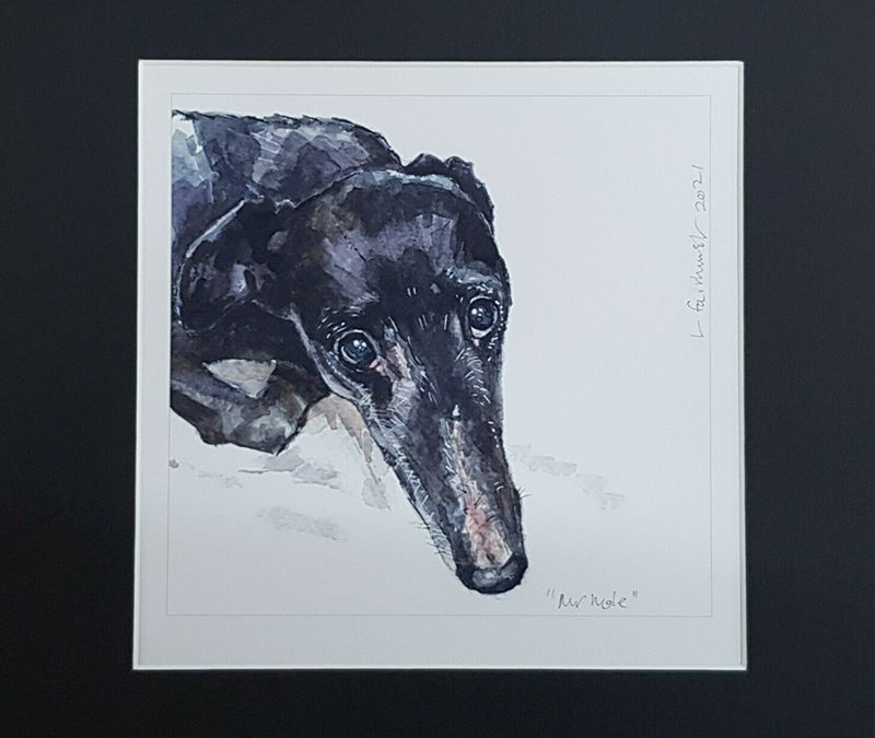 Fantastic news…Mr Mole update