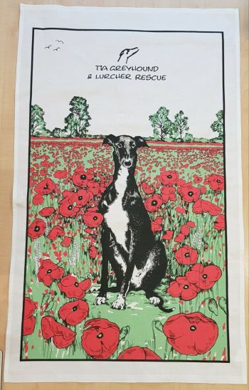 Greyhound tea towel