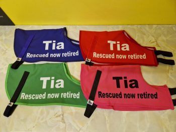 Tia's Dog Jackets - Image 2