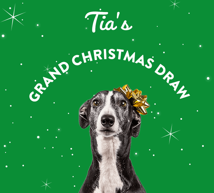 Grand Xmas Draw