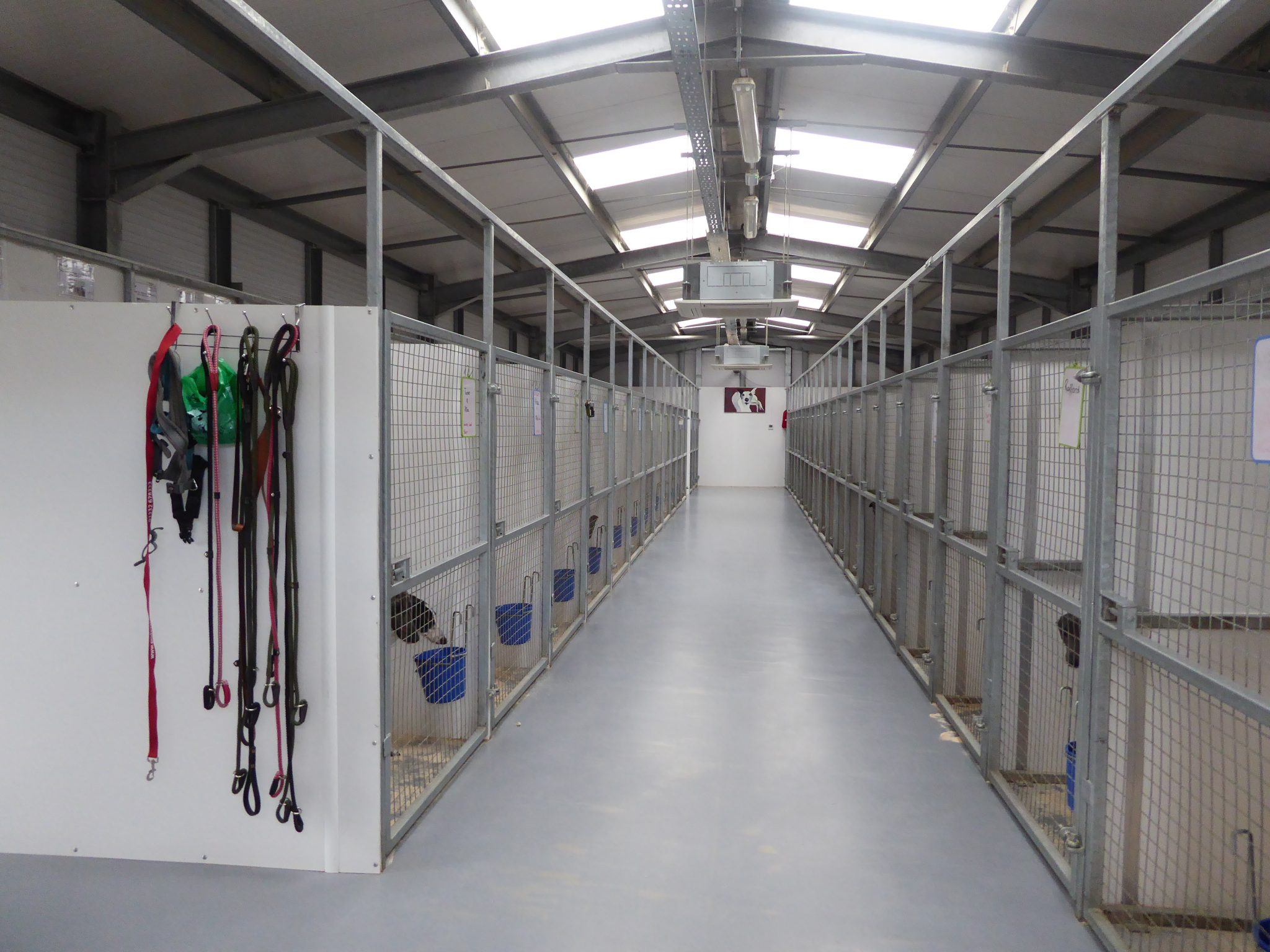 Kennels