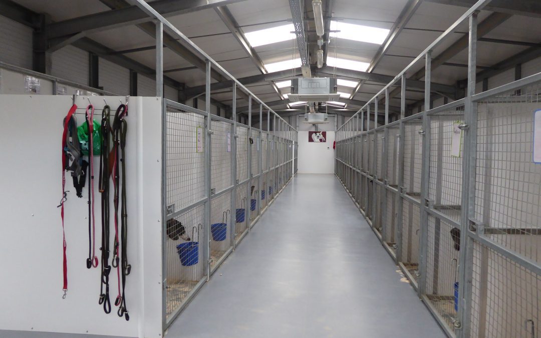 Kennel sponsors