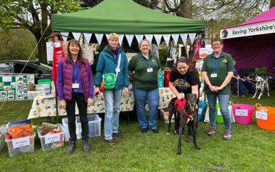 Knaresborough Pet Day