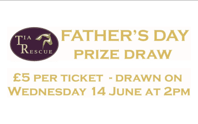 Tia’s Fundraising Shop – Fathers Day Draw
