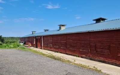 For Sale Chicken Shed