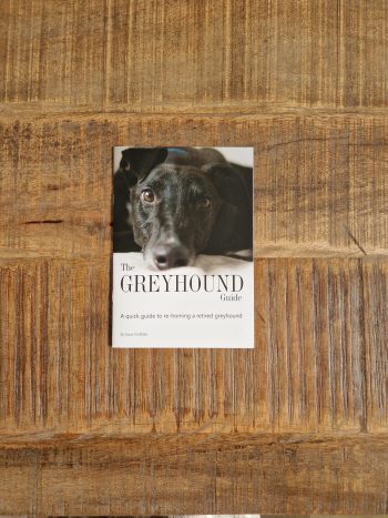 The Greyhound Guide