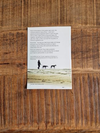 The Greyhound Guide - Image 2