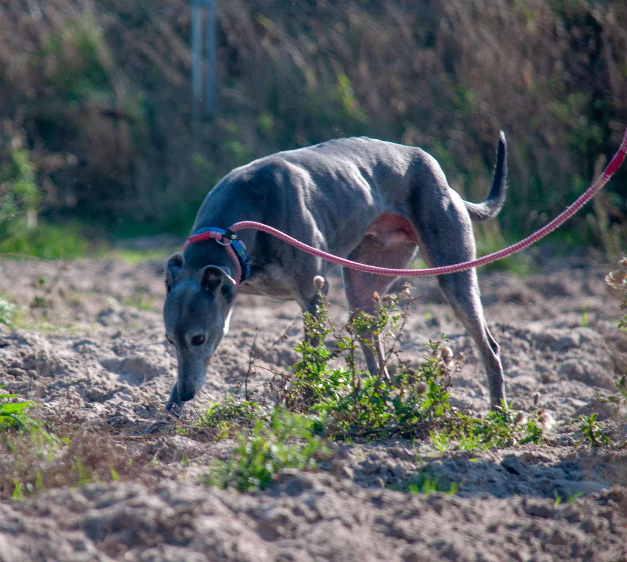 DSC_0643-scaled