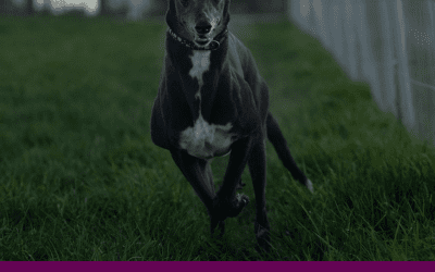 Sleep tight little lady….Tinkerbell