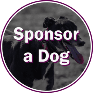 Sponsor a Dog or Kennel
