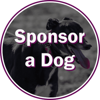 Sponsor a Dog or Kennel