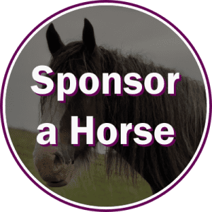 Sponsor a Horse or Stable