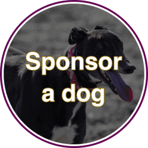 Sponsor a Dog or Kennel