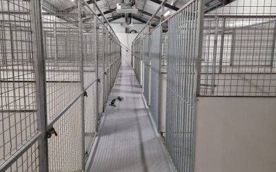 The kennels.