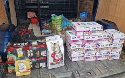 Pets at Home Lifeline Vouchers