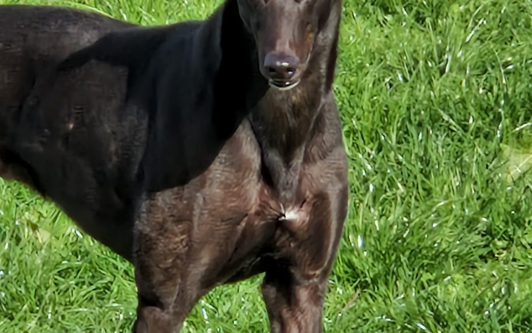 They could have easily been killed.