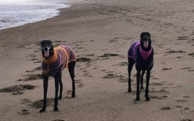 Going the distance for Tia