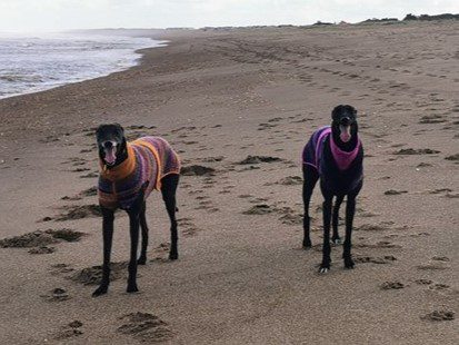 Going the distance for Tia