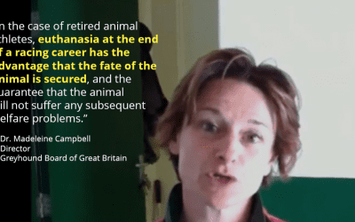 “A leading expert in the field of animal welfare, ethics and law”