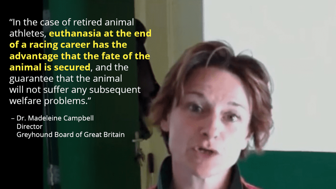 “A leading expert in the field of animal welfare, ethics and law”
