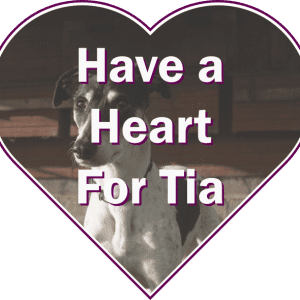 Have a Heart for Tia Rescue